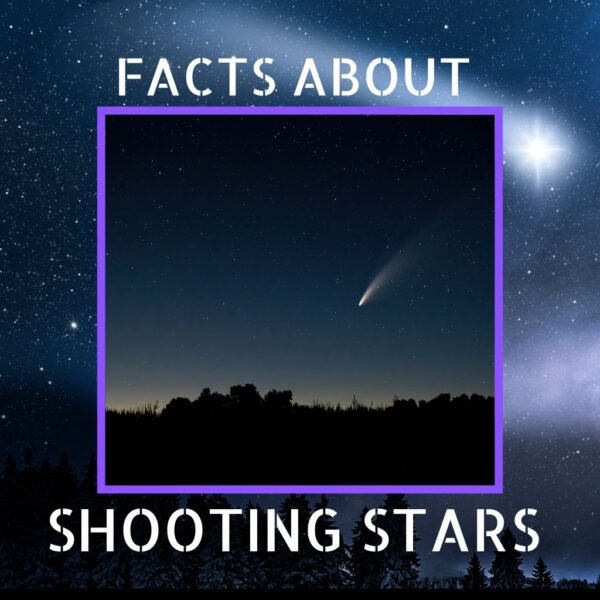 15 Interesting Facts About Shooting Stars (Explained!)
