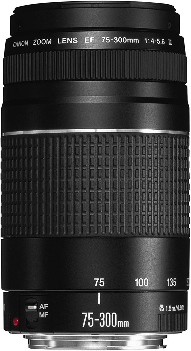 Canon 75-300mm f/4-5.6 III Lens
