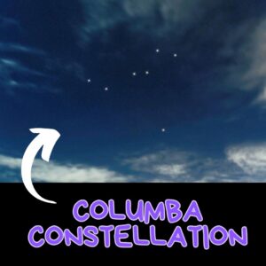 Read more about the article 19 Little-Known Facts About the Columba Constellation