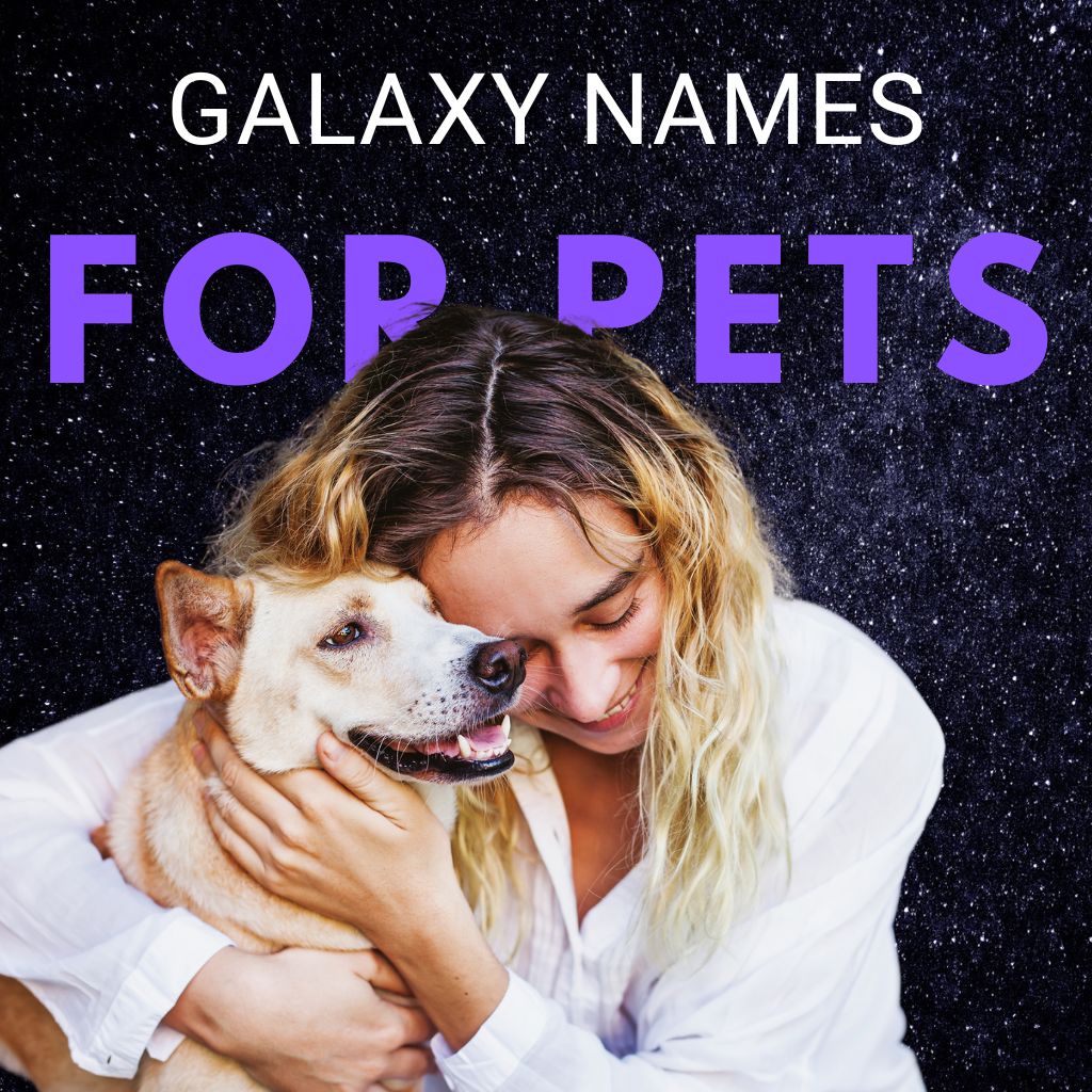 You are currently viewing 21 Best Galaxy Names for Pets (w/Meanings & Personality Traits)