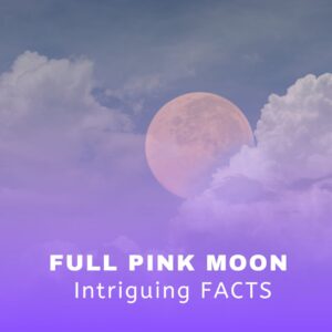 Read more about the article 6 Intriguing Facts About the Full Pink Moon’s Impact on Cultures Worldwide